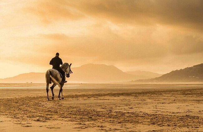 1 hora de equitação no deserto incrível e transferência: Marsa Alam - Foto 5