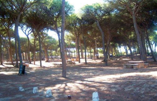 Casa La Peña - Playa y Naturaleza a un paso - Foto 13