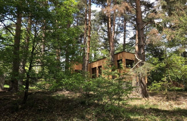 Holiday Home Under the Trees - Photo 29