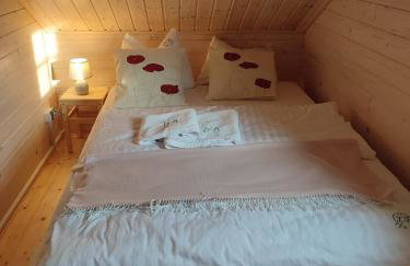 Brzozami Malowane - Photo 9