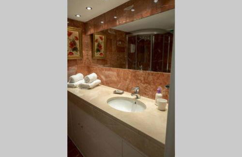 JAGUAR garaje y wifi - Foto 21