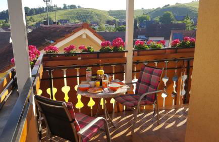 Ferienwohnung Abtsbergblick - Foto 10