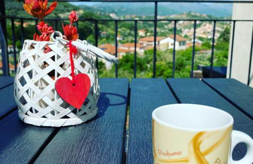 Holiday Home Delo - Imperia - Photo 8