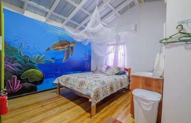 Mr. Ed's Adventures Belize - Foto 3