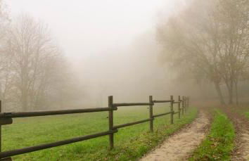 Quinta do Caritel - Foto 44