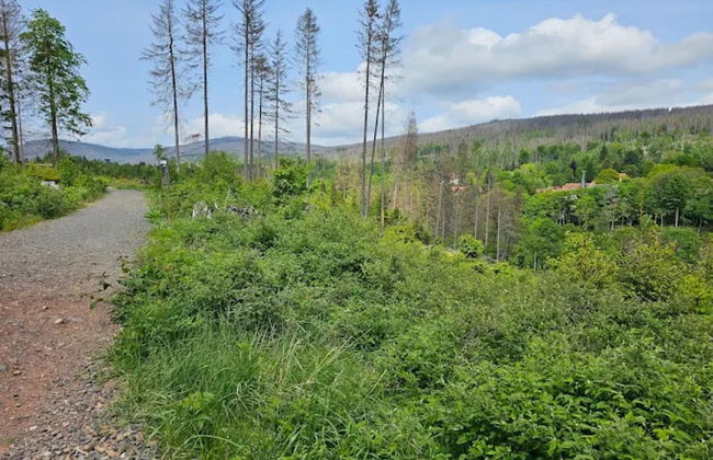 Holiday Homes in the Schierke Harzresort, Schierke - Photo 69