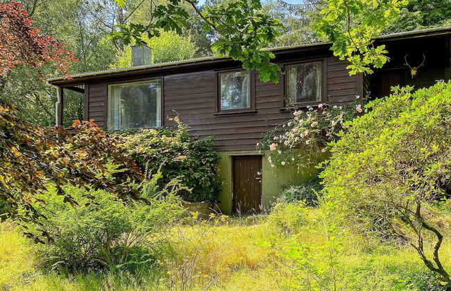 4 Person Holiday Home in Reksteren-by Traum - Foto 41