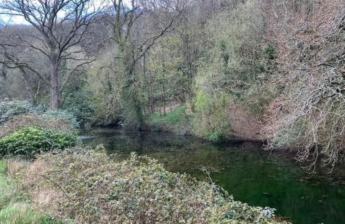 Jurassic Coast Holiday Home - Photo 13