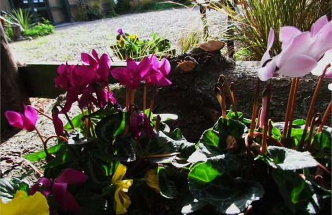 Christchurch City & Country Cottages - Nut Point Cottage - Foto 33