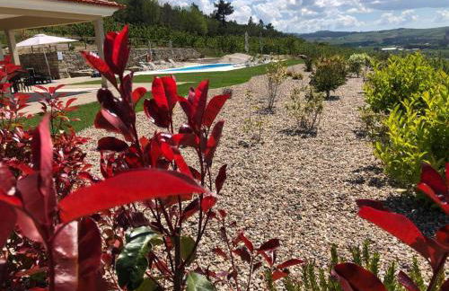 Quinta BEMBOA Turismo Espaço Rural - Foto 18