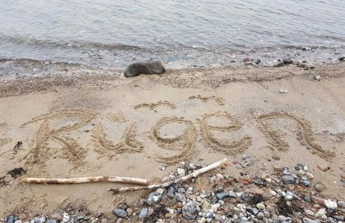 Ferienwohnung Garz - Foto 16