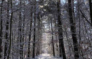 Moja Stay - wyjątkowy dom z sauną - Foto 10