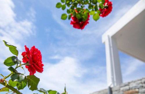 Seaview Villa in Nimporio - Foto 30