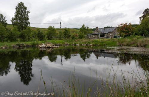 Dalnoid Cottages & Treehouses Nr Glenshee - Foto 60