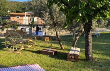 Il Casaletto - Guest House - Foto 72