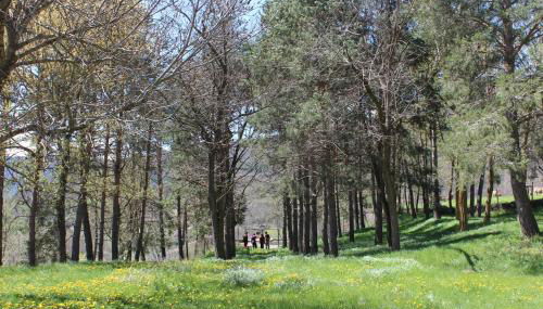 Casa de Colònies Vall de Boí - Verge Blanca - Foto 5, Garden