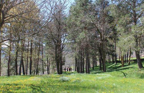 Casa de Colònies Vall de Boí - Verge Blanca - Foto 5