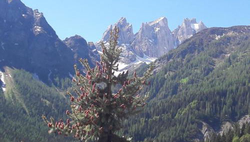 Appartamento Madama - Foto 4