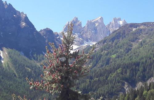 Appartamento Madama - Foto 4