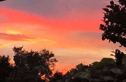 Querência MaeDa - Photo 1