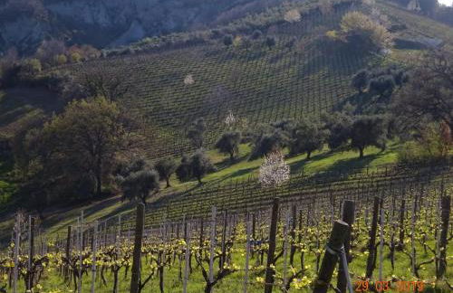 mansio maritima - Foto 47