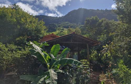 Casa Ipê Rosa - Photo 14