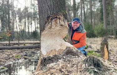 Tawerna Pod Kotwicą pokoje i domy wakacyjne - Foto 34