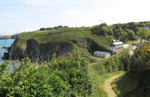 Appart vue mer-au pied du chemin de randonnée " Bassan" - Foto 29