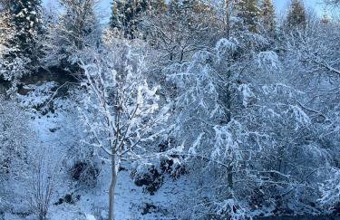 Domek w górach, noclegi w górach , Przystanek Stodoła , nocleg Beskidy , Velo Soła, balia ogrodowa, Rajcza, Rycerka - Foto 29