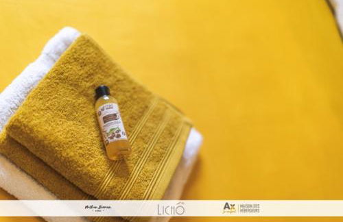 Appartement VILLA PAULA Ax-les-Thermes - Foto 52