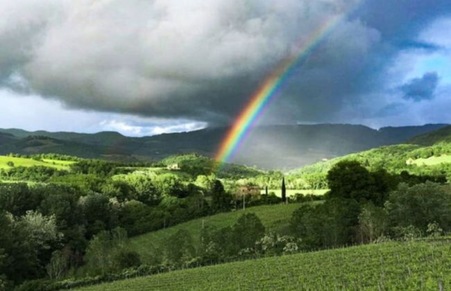 Tenuta CorteDomina - Foto 70