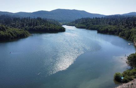 Forest Fairy - Foto 31