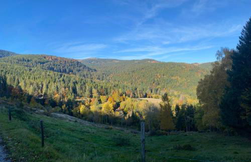 Le chalet de cathy - Foto 35