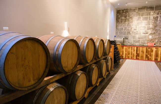 Maria Fumaça Train Ride & Garibaldi Winery Tour - Photo 12