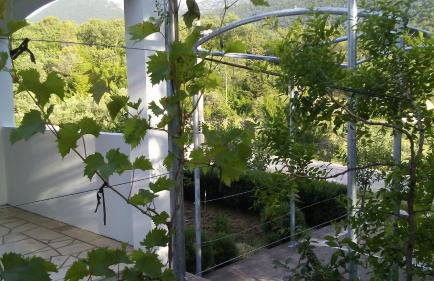 Apartman MAKA - Photo 24