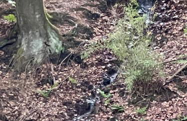 SEA Office - Modernes Ferienhaus mit tollem Seeblick - Foto 20