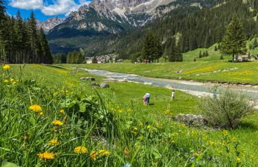 Cesa Bernard - Apartment Cima 12 e new Apartment Fraine - Foto 57