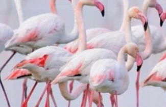 Casa Vikingo - Foto 27