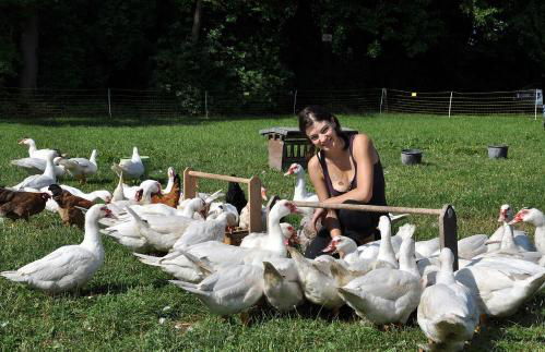 Landkulturhof Glücksbringer - Foto 26