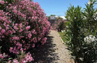 Isabelina Stays near Doñana & the Coast - Foto 77