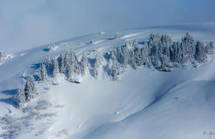 Chez Francine - Photo 53