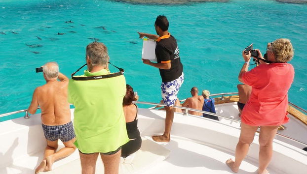 Snorkeling in Qulaan Islands - Foto 2