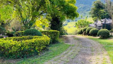 RECANTO FLORES DA MONTANHA- via fácil ASFALTO, VISTA das Montanhas - Foto 4