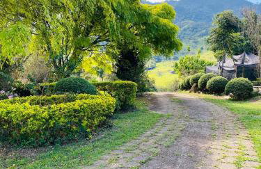 RECANTO FLORES DA MONTANHA- via fácil ASFALTO, VISTA das Montanhas - Foto 4