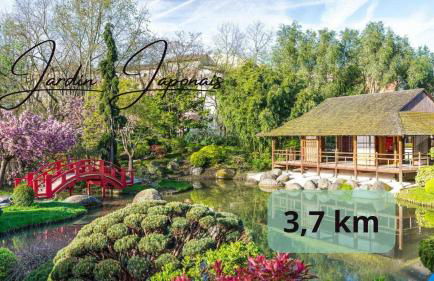 Le Rubis - Zenith - Foto 25