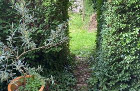 Ferienwohnung Kräutergarten - Foto 14