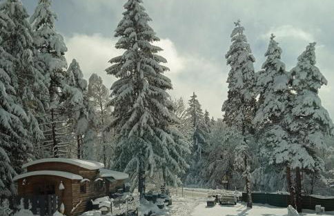 Domaine de la Mamounette - Foto 1