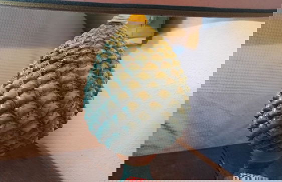 Tenuta San Calogero - Foto 54