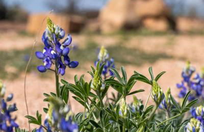 Luxury Riverfront Retreat - 6 Cabins - Private Pool - Photo 100