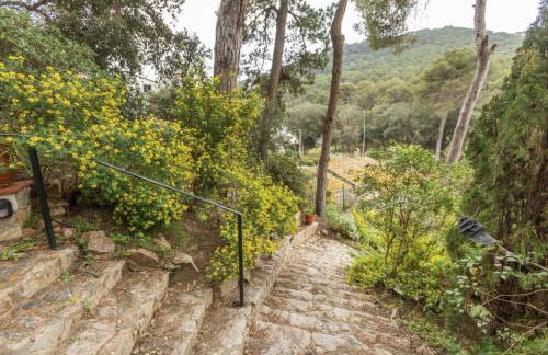 El niu de Tamariu - Foto 23